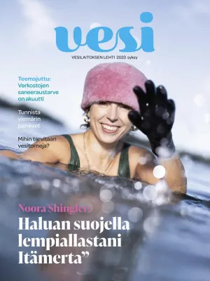 Vesi